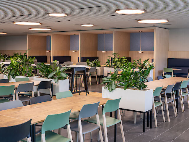 Large cafeteria with wooden and upholstered furniture, room dividers made of plants and round ceiling lights