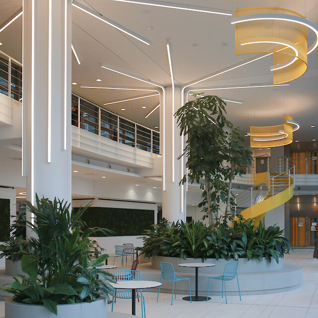 Offenes Atrium mit Pflanzeninseln, linearen Deckenleuchten und skulpturaler Liquid Line Lichtführung